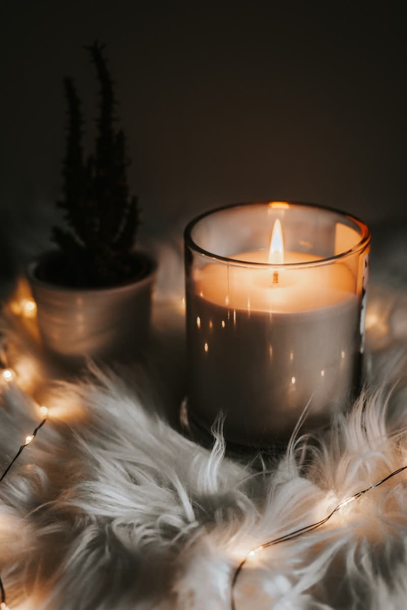 Why Soy Wax Is Better: The Science Behind Our Candles